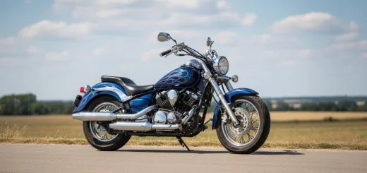 Yamaha XVS 650 Drag Star Classic в аэрографии "синее пламя"