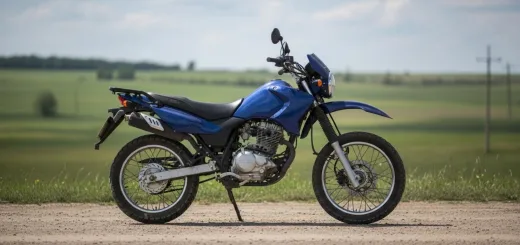 Стелс Флекс 250 кубов модель 2011 года выпуск вид сбоку