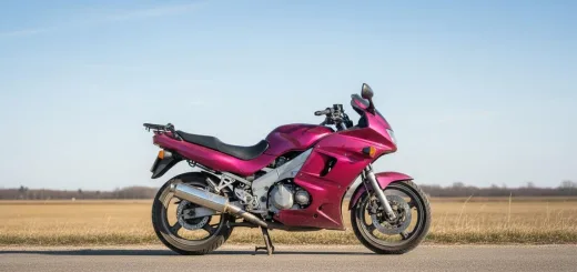 Кавасаки ZZR 250 малинового цвета вид сбоку