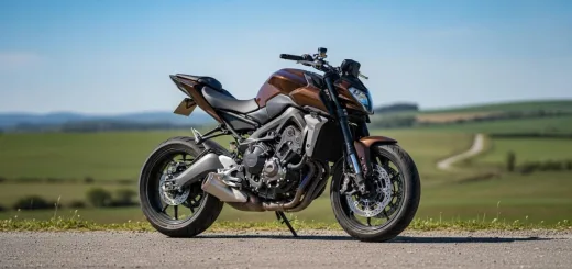 Racer Fighter 250 в коричневом обвесе корпуса вблизи