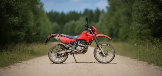 Racer PANTHER 200 вид сбоку с райдером девушкой