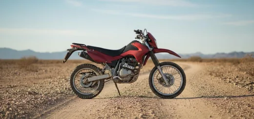 Racer Ranger 200 вид сбоку двигатель и коробка передач