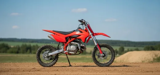 IRBIS TTR 125 вид сбоку на питбайк в красном пластике