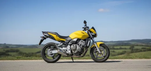 Honda CB600 2009 года выпуска сбоку в жёлтом обвесе