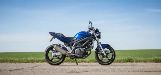 Suzuki SV 650 2010 года выпуска вид сбоку