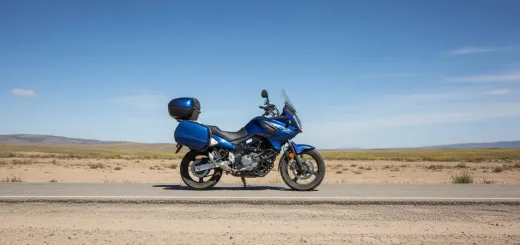 Suzuki DL 650 V-strom 2011 года выпуска версия с задними кофрами