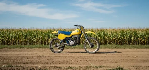 Suzuki RM 250 в классическом жёлтом цвете 2 такта стоит в кукурузном поле