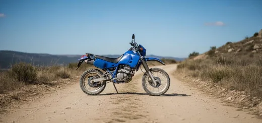 Suzuki djebel 250XC вид сбоку синий