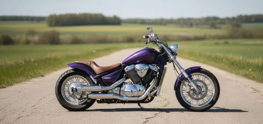 Suzuki Intruder VS 1400 custom проект на базе стока вид сбоку