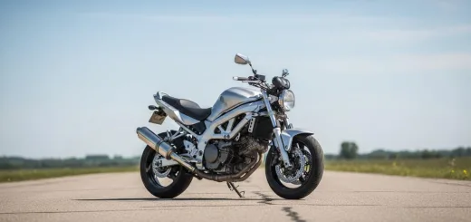 Suzuki SV1000 2004 года выпуска в серебристом цвете
