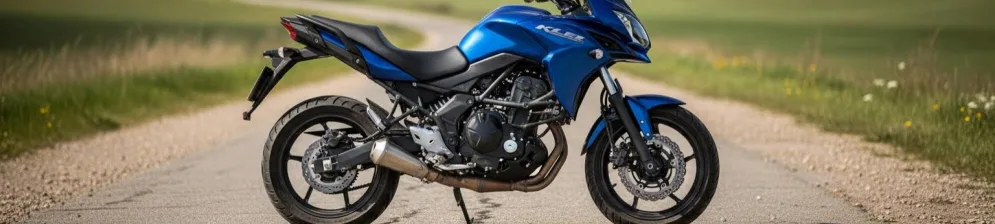 KLE Versys 650 Кавасаки синий цвет 2010 года выпуска вид сбоку