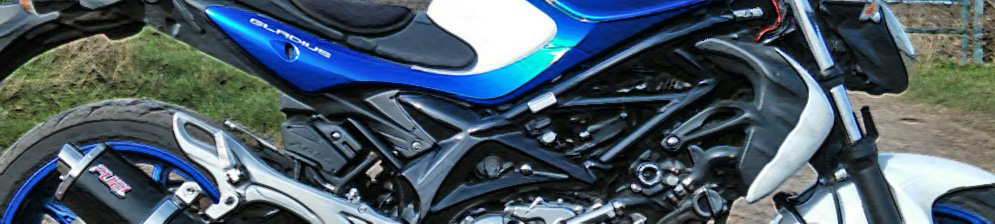 Сузуки Гладиус 2009 года выпуска в синем цвете